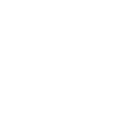 White ruler icon